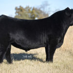 LLSF PAYS TO BELIEVE