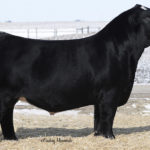GSC GCCO DEW NORTH 102C