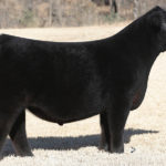 Conley Express  7211