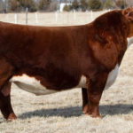 CH HIGH ROLLER 756 ET