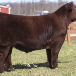 TRN OMAHA 79