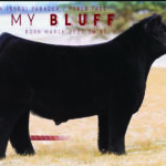 Call My Bluff sire